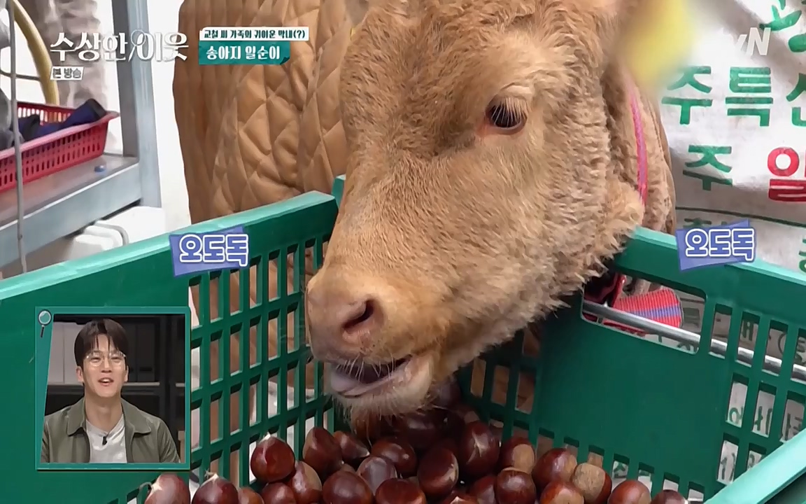 수상한 이웃.E03.220415p-NEXT.mp4_20220416_184248.291.jpg