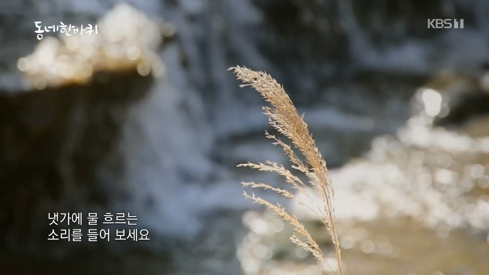 동네 한 바퀴.E261.240309p.H264-F1RST.mp4_20240310_165135.533.jpg