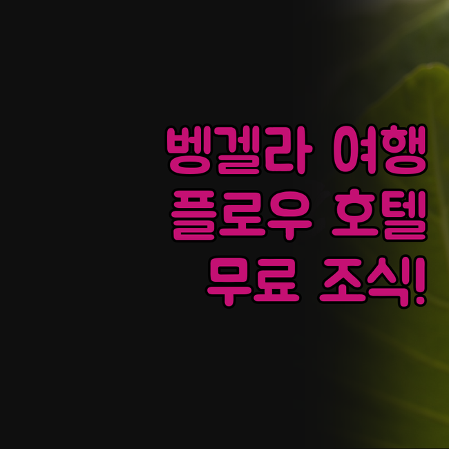 벵겔라 여행, 플로우 호텔에서 잊지 
