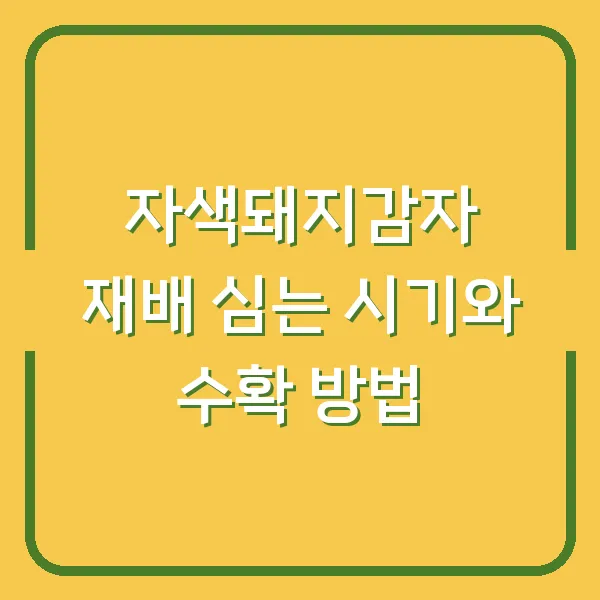 자색돼지감자 재배 심는 시기와 수확 방법
