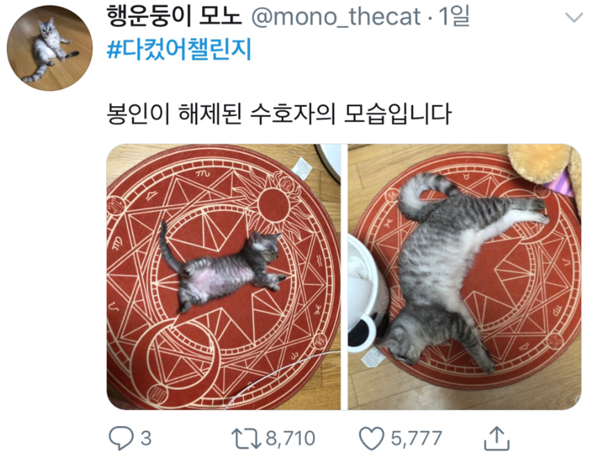 #다컸어챌린지