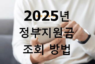 2025년 정부지원금 조회