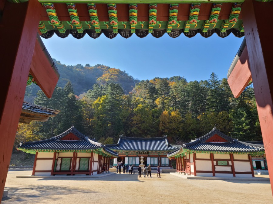 백담사 단풍 멋지다 ( 셔틀버스안내 ) 강원도 인제 여행 / 설악산 40