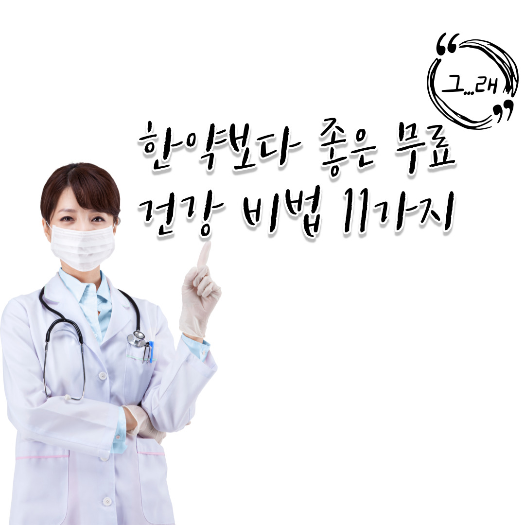  한약보다 좋은 무료 건강 비법 11가지