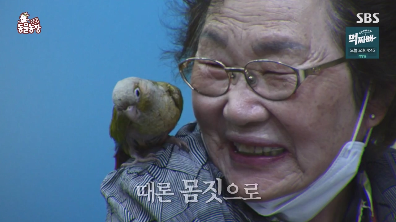 TV 동물농장.E1140.231009p-NEXT.mp4_20231008_174814.372.jpg
