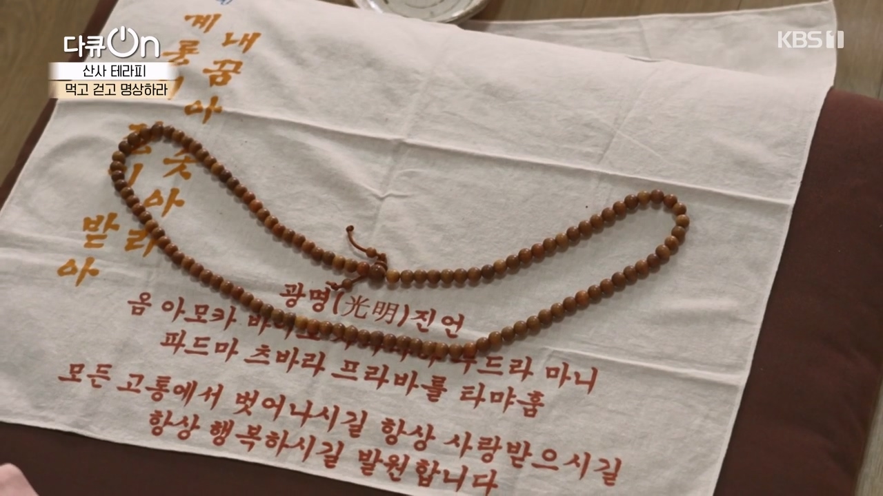 다큐 온.E257.240714p-NEXT.mp4_20240714_163837.663.jpg