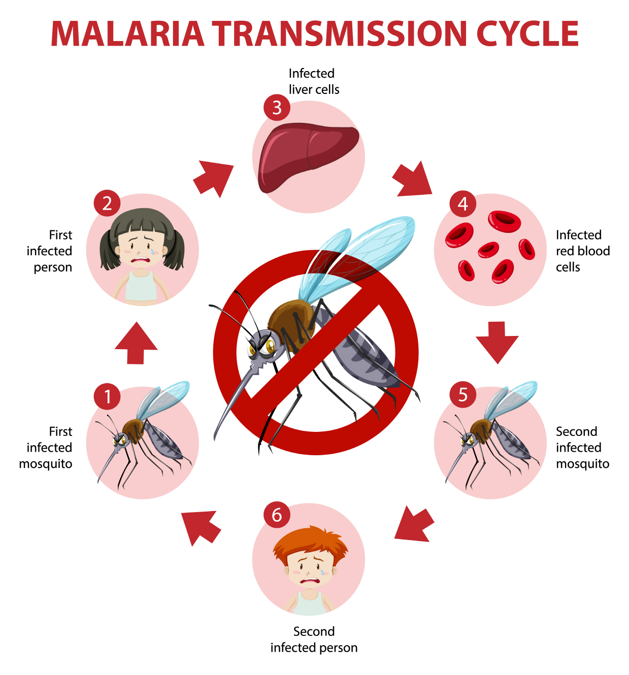 말라리아(malaria), 역사, 예방법, 특징