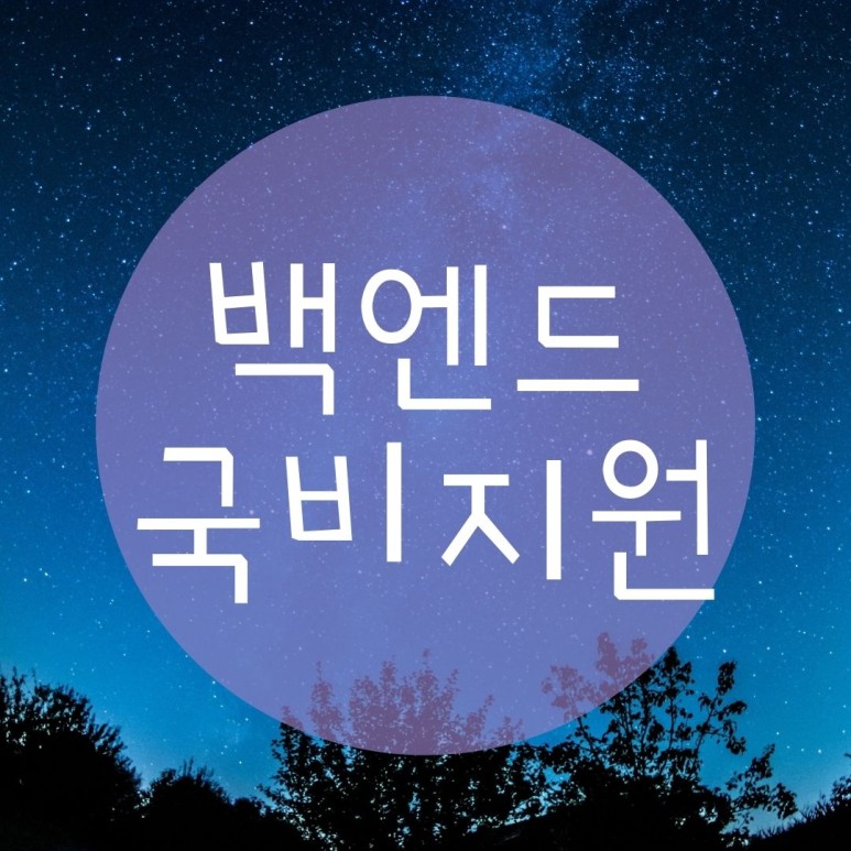  백엔드국비지원 취업준비/자격증대비/풀스택개발자 성공하는법!