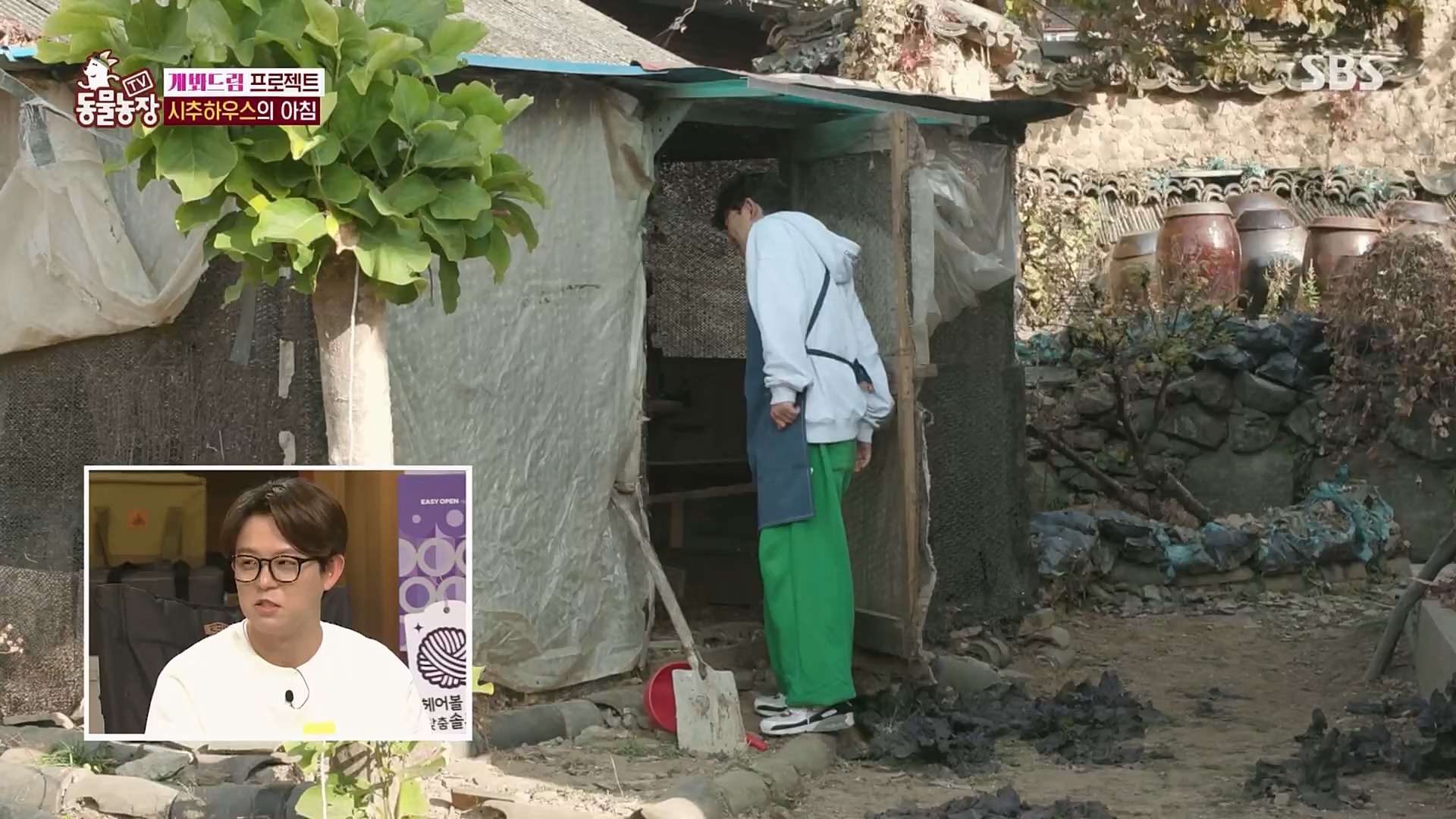 TV 동물농장.E1103.230108p.H264-F1RST.mp4_20230108_174642.773.jpg