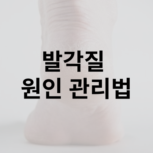 발뒤꿈치 굳은살 각질제거