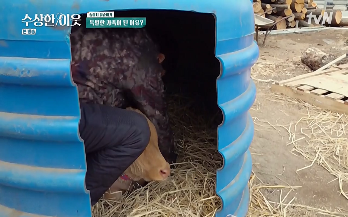 수상한 이웃.E03.220415p-NEXT.mp4_20220416_184252.798.jpg