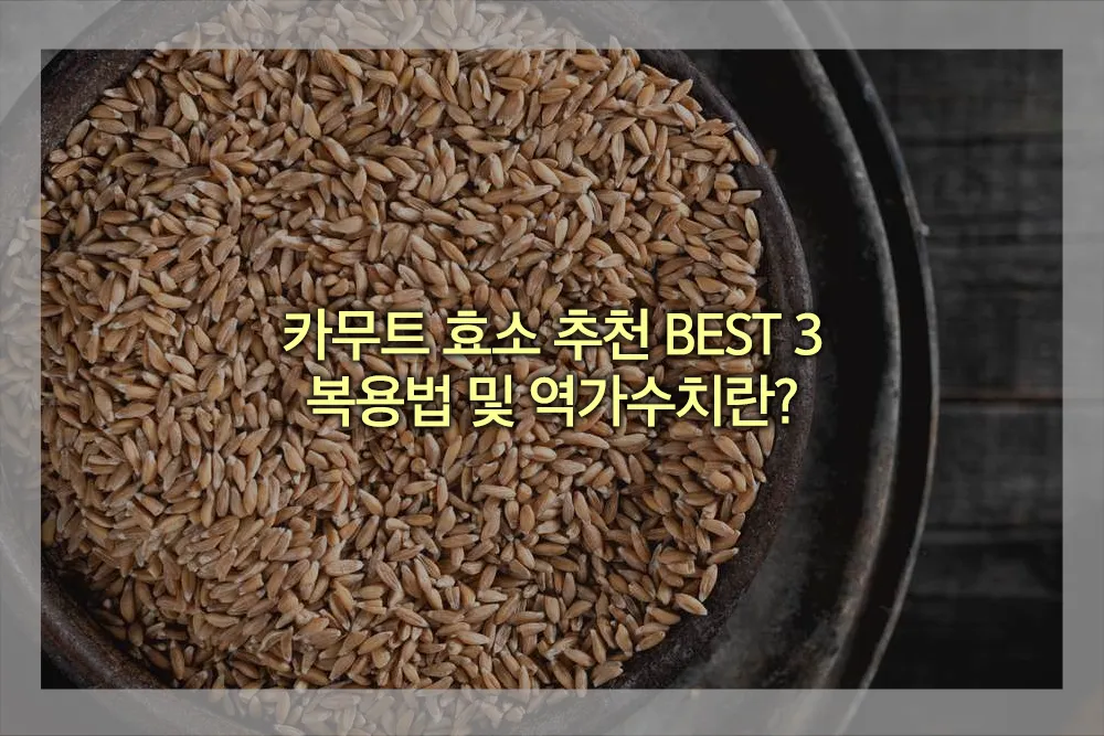 카무트 효소 추천 BEST 3