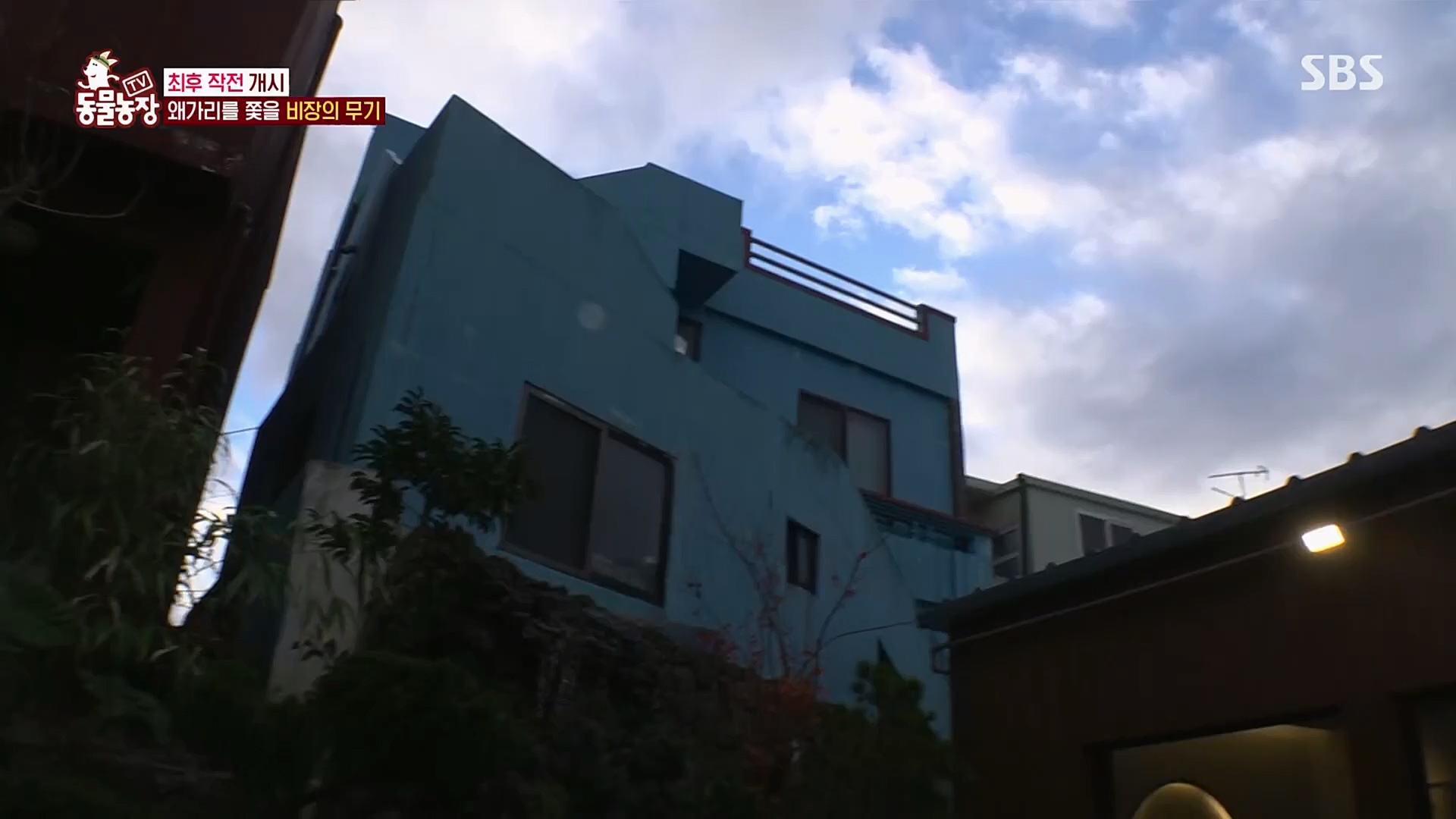 TV 동물농장.E1103.230108p.H264-F1RST.mp4_20230108_174638.041.jpg