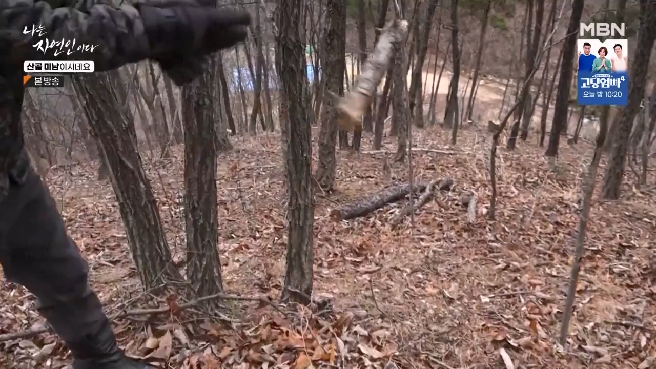 나는 자연인이다.E592.240208p-NEXT.mp4_20240208_193229.030.jpg