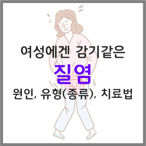  질염의 종류 원인 증상 치료 방법(세균성 질염 칸디다 질염 트리코모나스 질염)