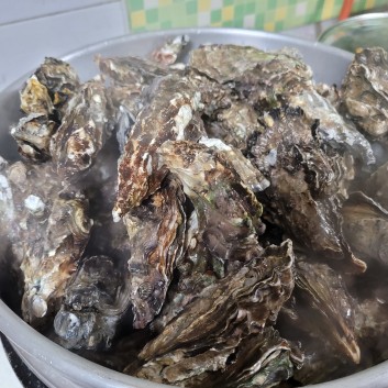 갯바위수산의 낙지 요리