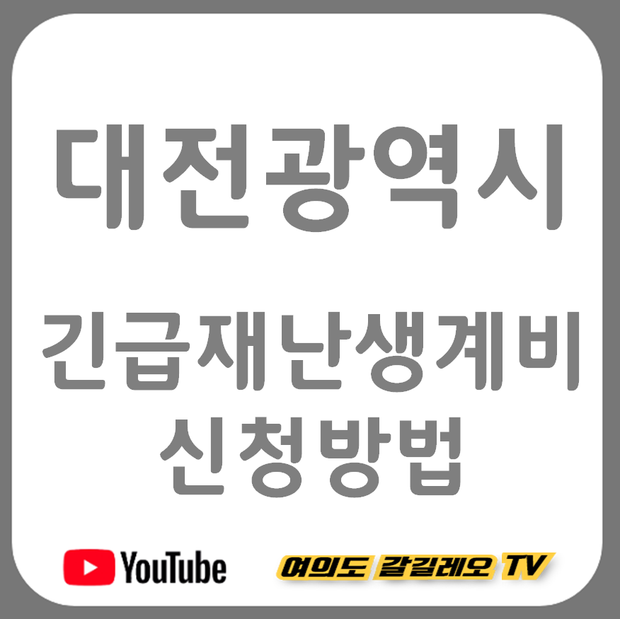  대전광역시 긴급재난 생계비 신청방법 및 대상 (대전 재난소득, 긴급생계자금 지원, 중위소득)