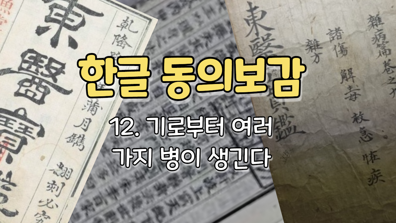  12. 기(氣)로부터 여러 가지 병이 생긴다[氣爲諸病]  ( 내경편 기 )