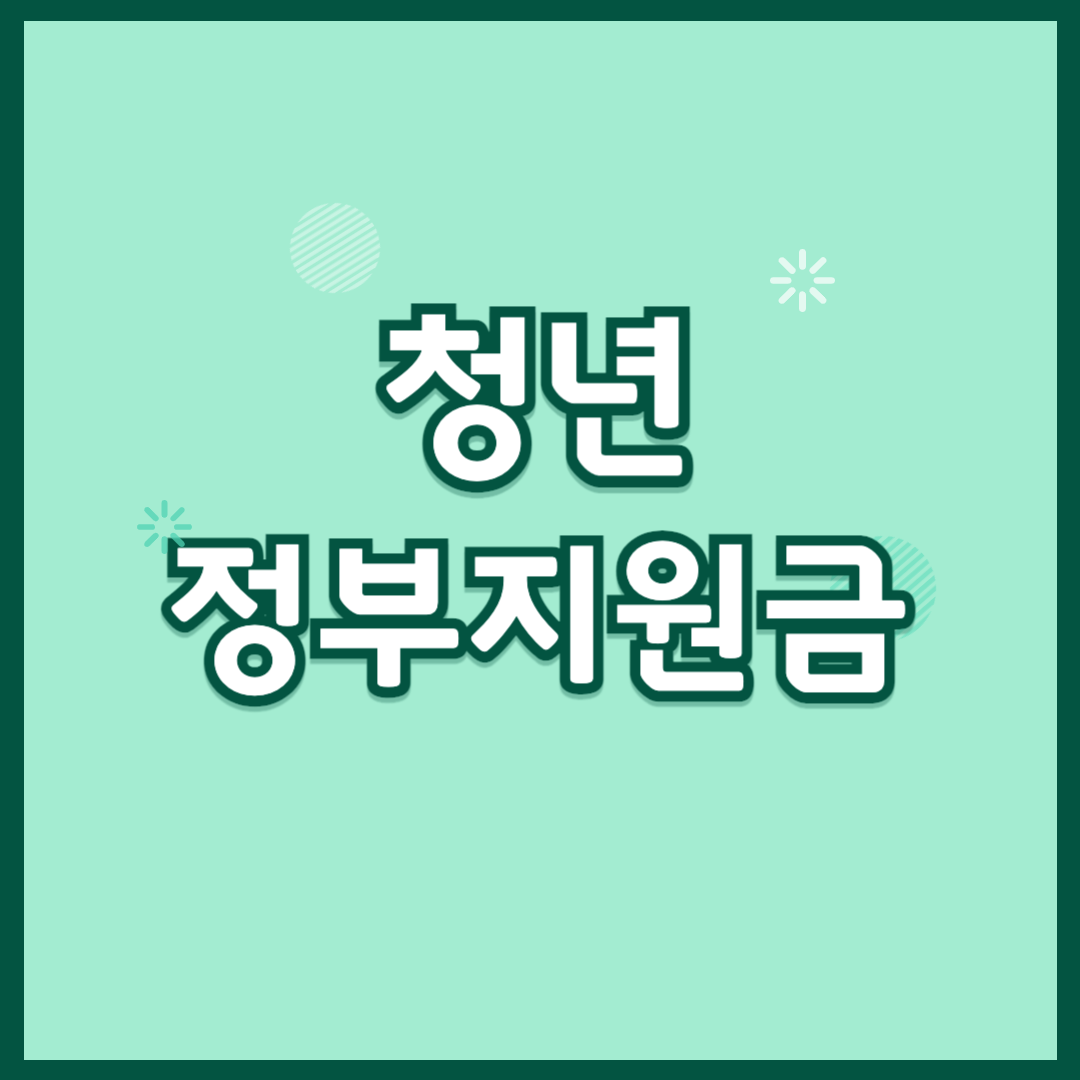 청년 정부지원금