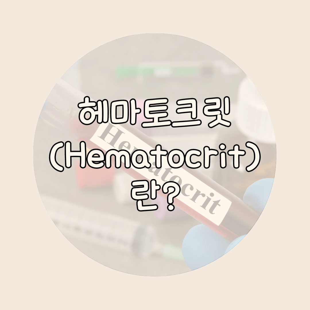 헤마토크릿