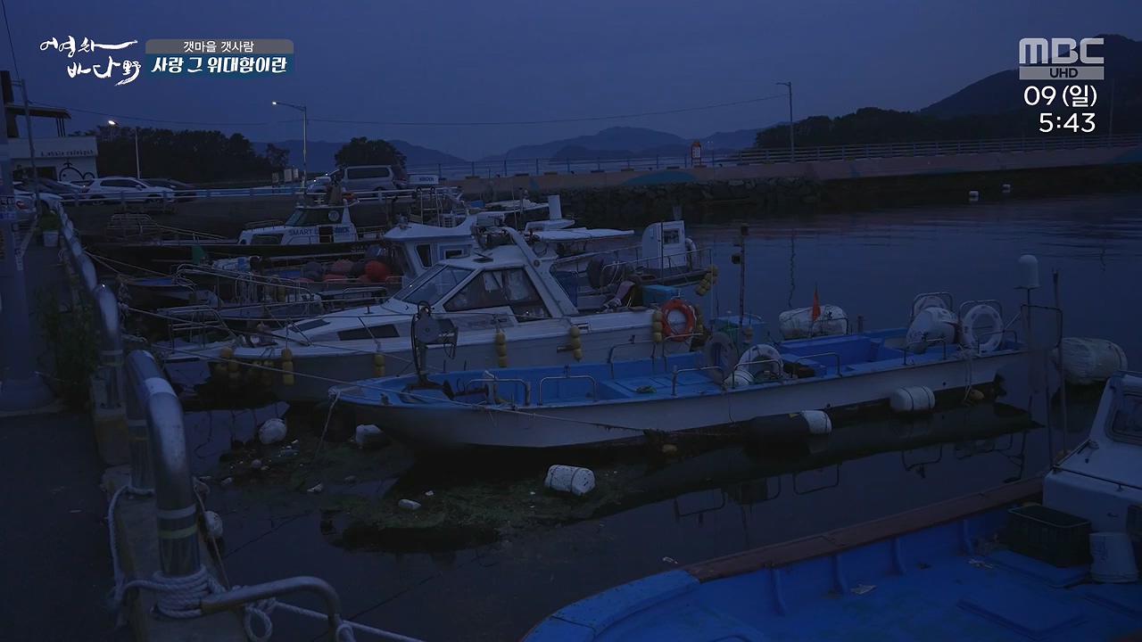 MBC 네트워크 특선 푸른백세 어영차 바다야.E1684.240610p-NEXT.mp4_20240611_203123.126.jpg