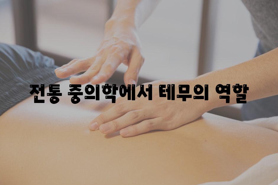 전통 중의학에서 테무의 역할