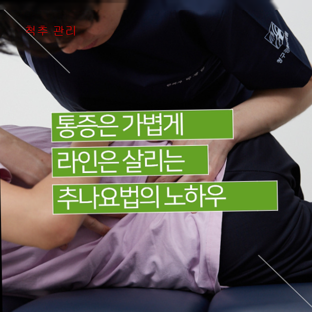 척추 관리2