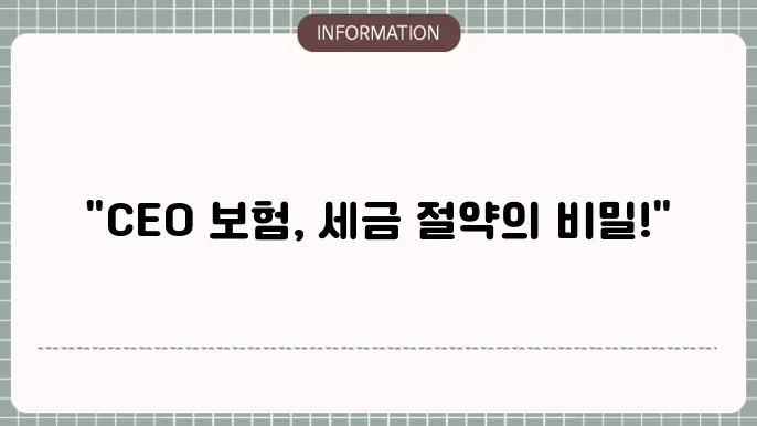 CEO 정기보험 활용 사례