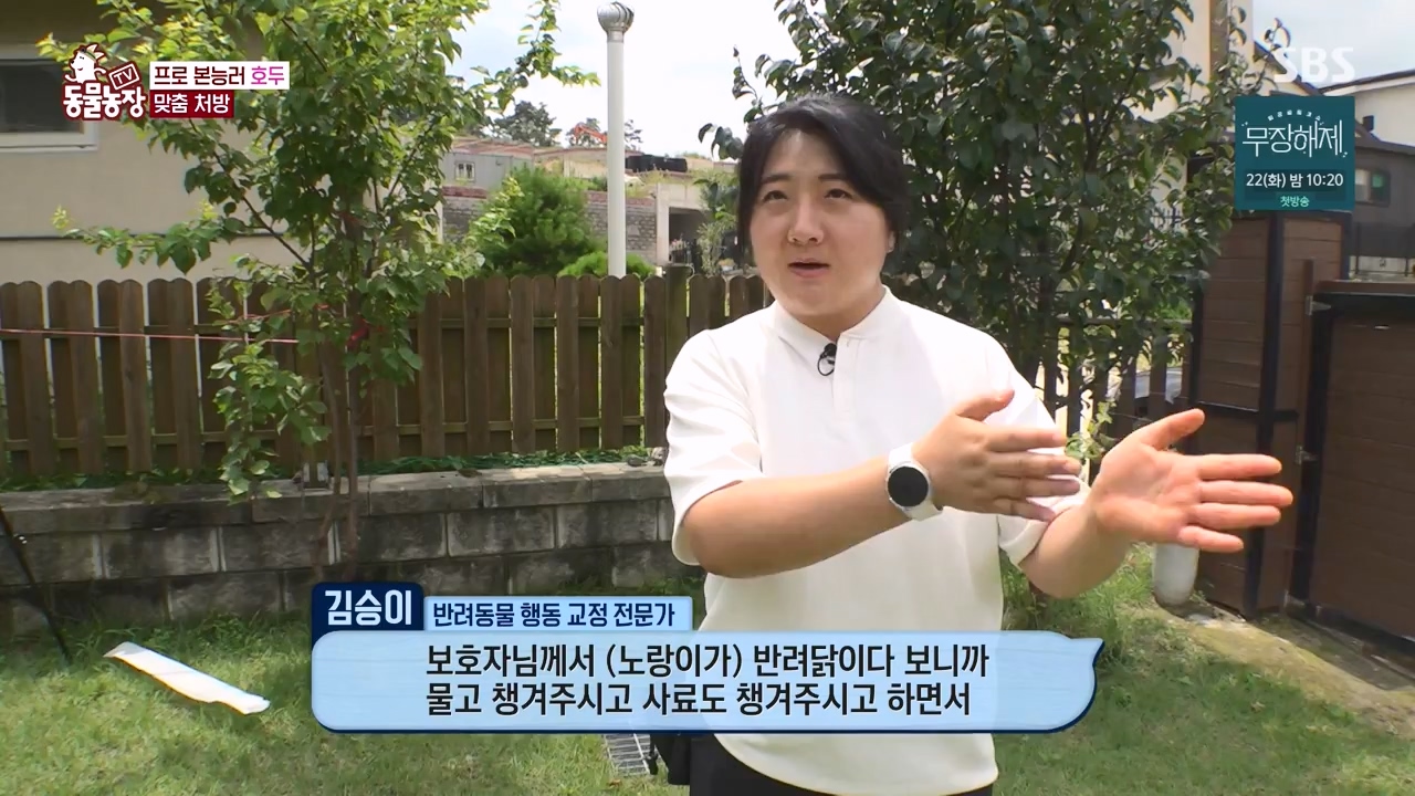 TV 동물농장.E1133.230814p-NEXT.mp4_20230813_171331.608.jpg