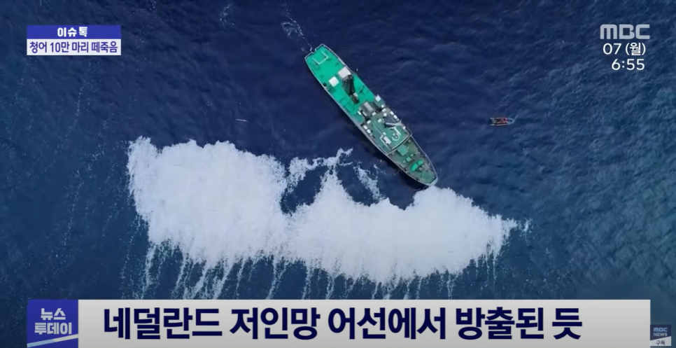  인간도 떼죽음이 다가오는 세상..