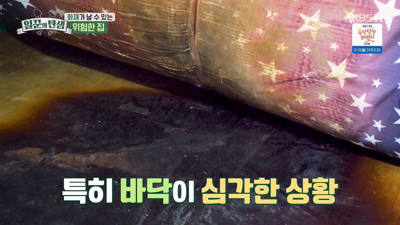일꾼의 탄생.E89.230914p-NEXT.mp4_20230918_200651.082.jpg