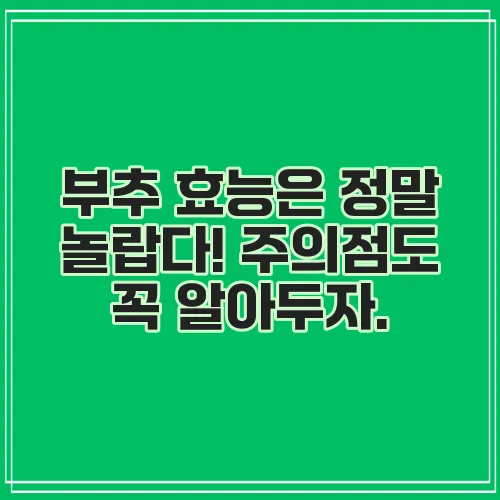 부추 효능은 정말 놀랍다! 주의점도 꼭 알아두자.