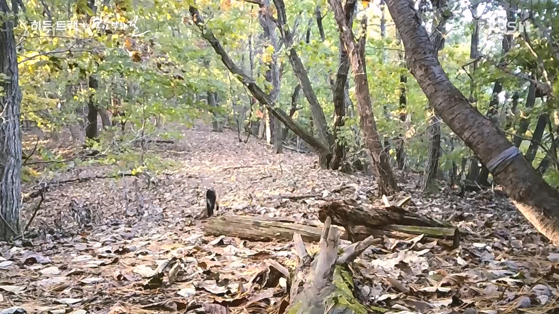 다큐 인사이트.E176.231214p.H264-F1RST.mp4_20231215_205445.314.jpg