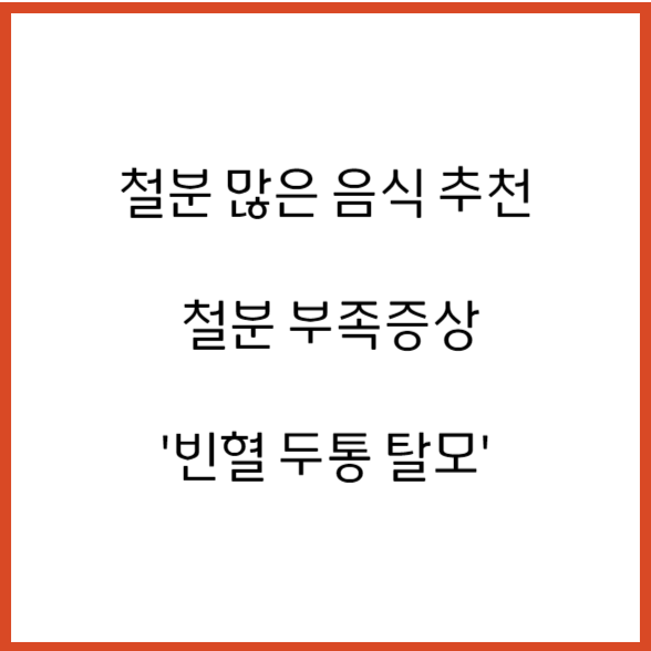 철분 많은 음식 추천 철분 부족증상 빈혈 두통 탈모