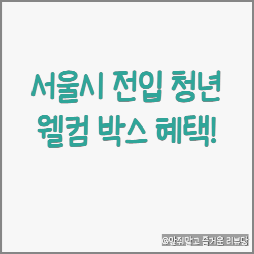  서울시 청년 전입시 주어지는 웰컴 박스 혜택!