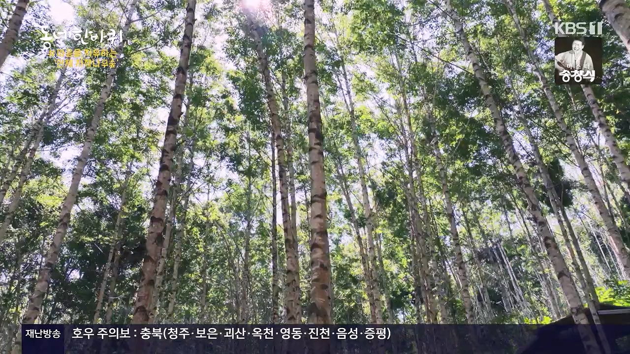 동네 한 바퀴.E280.240630p-NEXT.mp4_20240630_171129.726.jpg