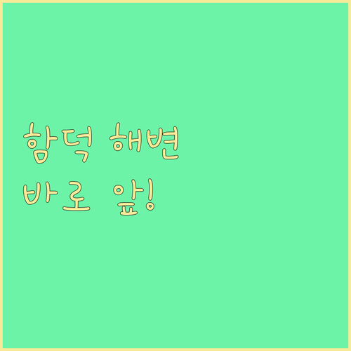 함덕 해수욕장 바로 앞! 함덕비치스테