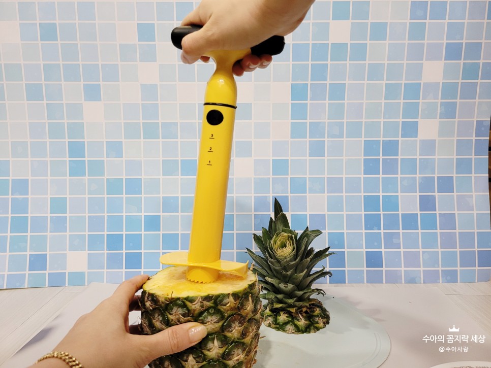 파인애플자르기 :: 칼 & 5