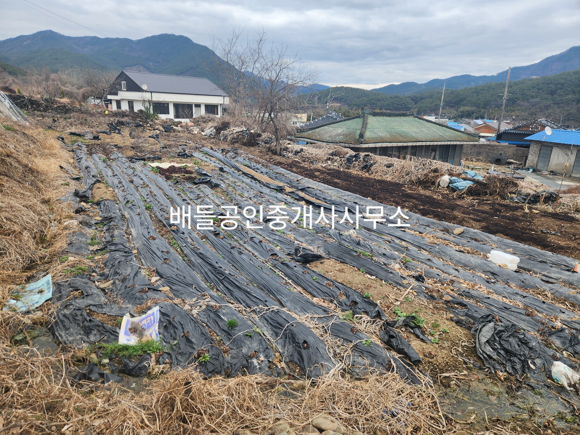 석곡농협 하나로마트 이미지