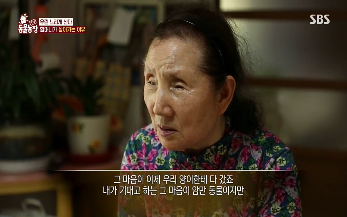 TV 동물농장.E1076.220704p.H264-F1RST.mp4_20220703_175608.669.jpg