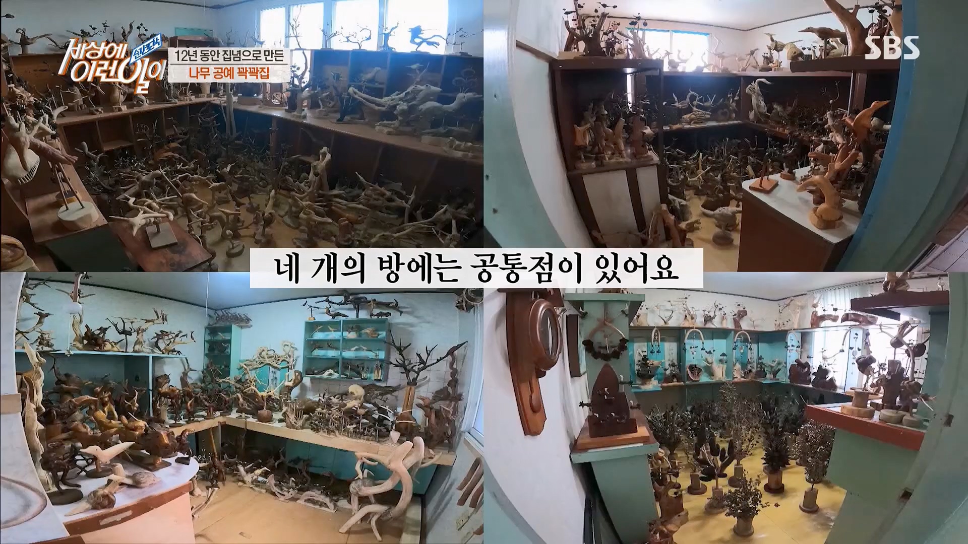 순간포착 세상에 이런일이.E1230.230516p.H264-F1RST.mp4_20230517_193655.550.jpg