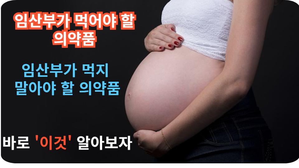 임산부가 멀어야 할 의약품