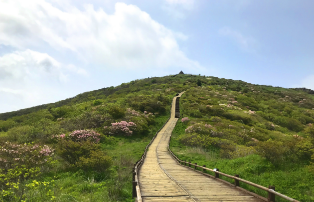 노고단 풍경