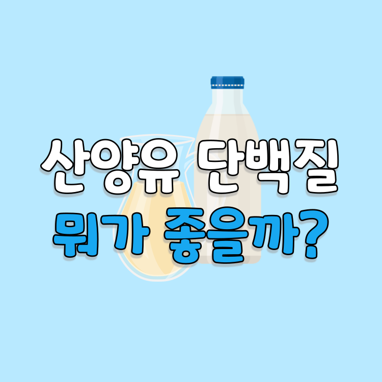 산양유 초유 단백질