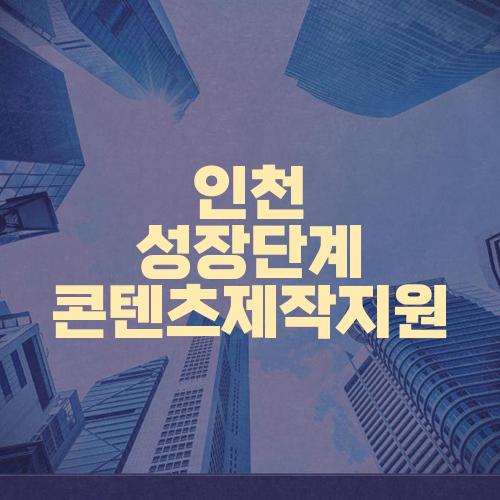 인천 성장단계 콘텐츠제작지원