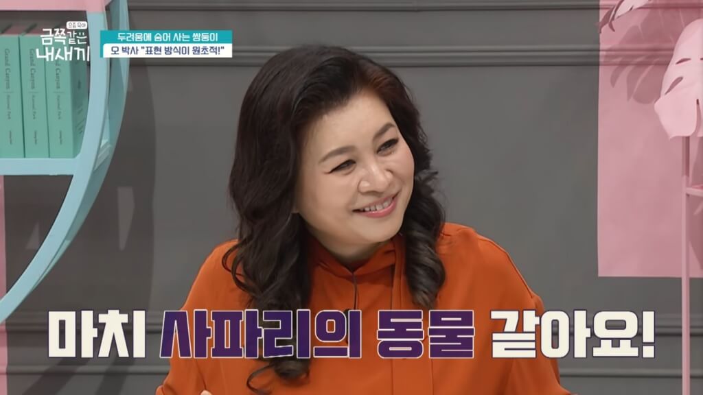  금쪽같은 내 새끼 98화 두려움에 숨어 사는 쌍둥이
