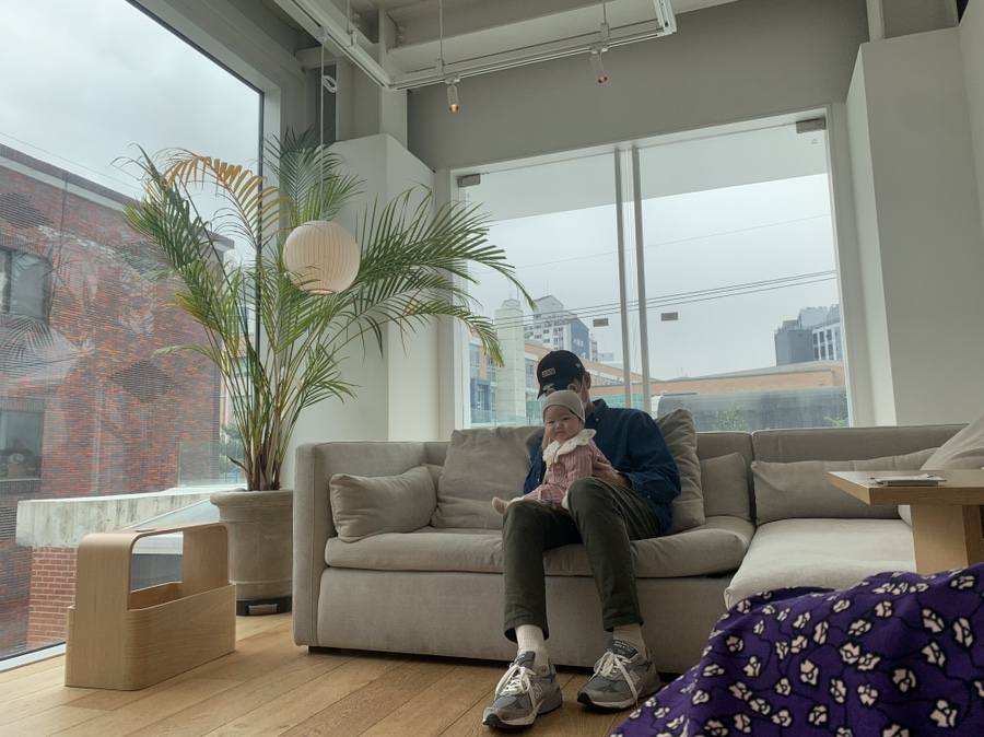 잭슨카멜레온, 플랜트란스 2