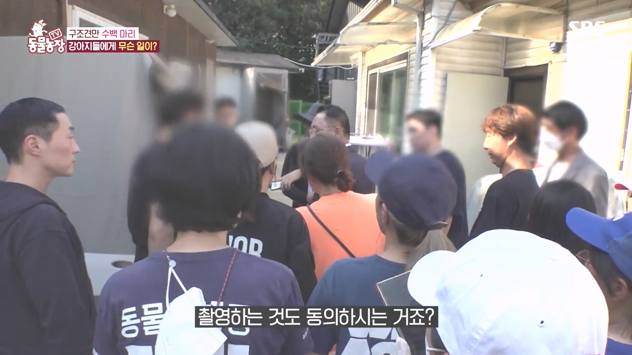 TV 동물농장.E1142.231023p-NEXT.mp4_20231022_171911.390.jpg