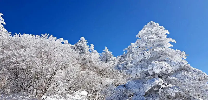 지리산 설경 상고대