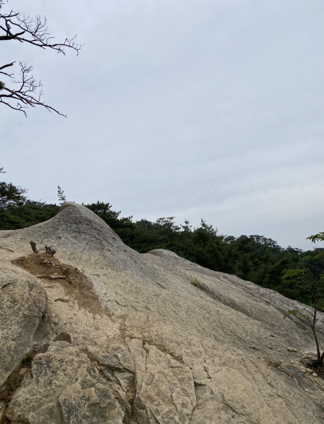 여름산으로 추천하는 괴산 칠보산(778m) 숲속을 거니는 듯 시원해 50